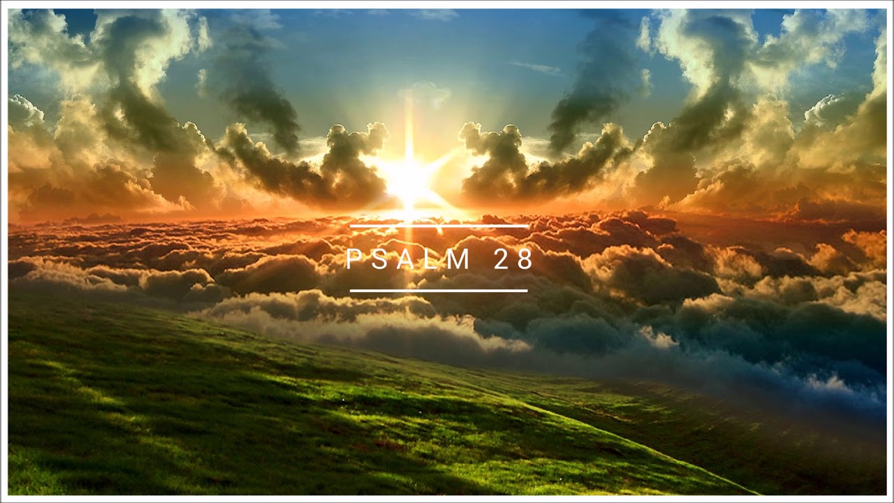 Psalm 28 Biblia warszawska