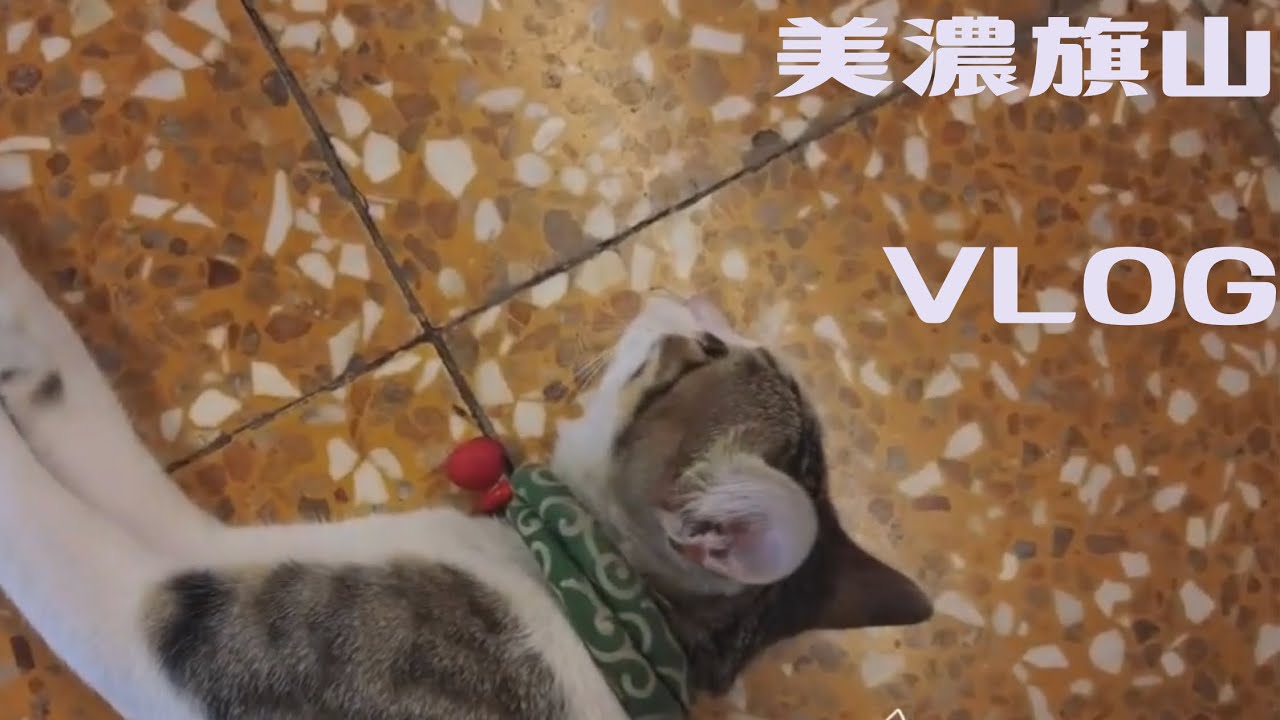 美濃旗山Vlog｜美濃粄條｜常美冰店｜旗山老街｜旗山神社｜旗山孔廟
