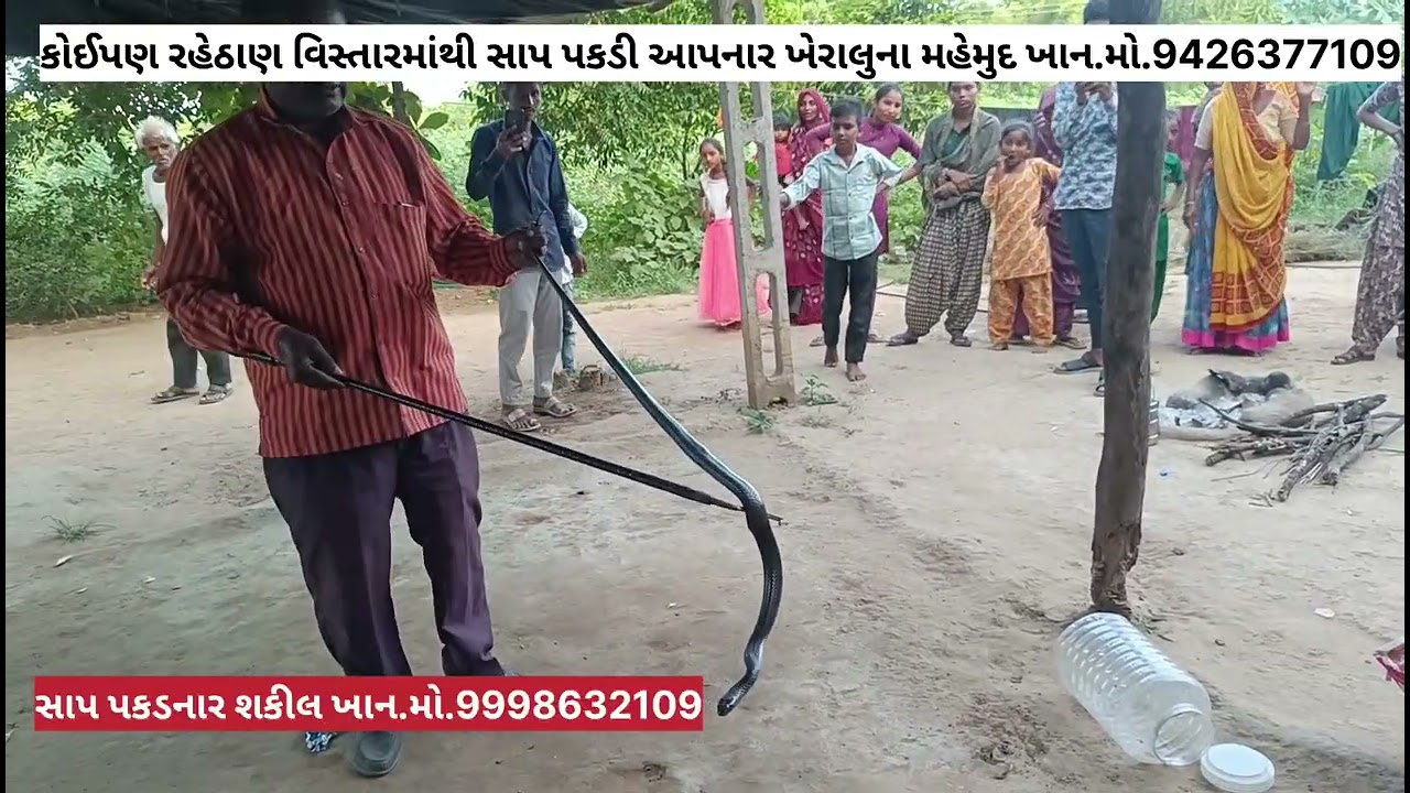 વડનગર સાબલીયા રહેણાંક ઘર મો કામ કરતાં માજી ને કરડીનાગણી સિવિલ હોસ્પિટલ દાખલ કરવામાં આવ્યા જીવબચ્ચોં 