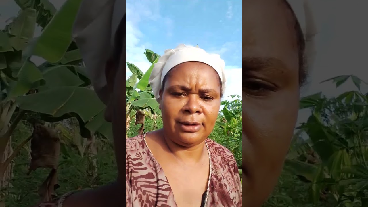 Minha vida de agricultora 