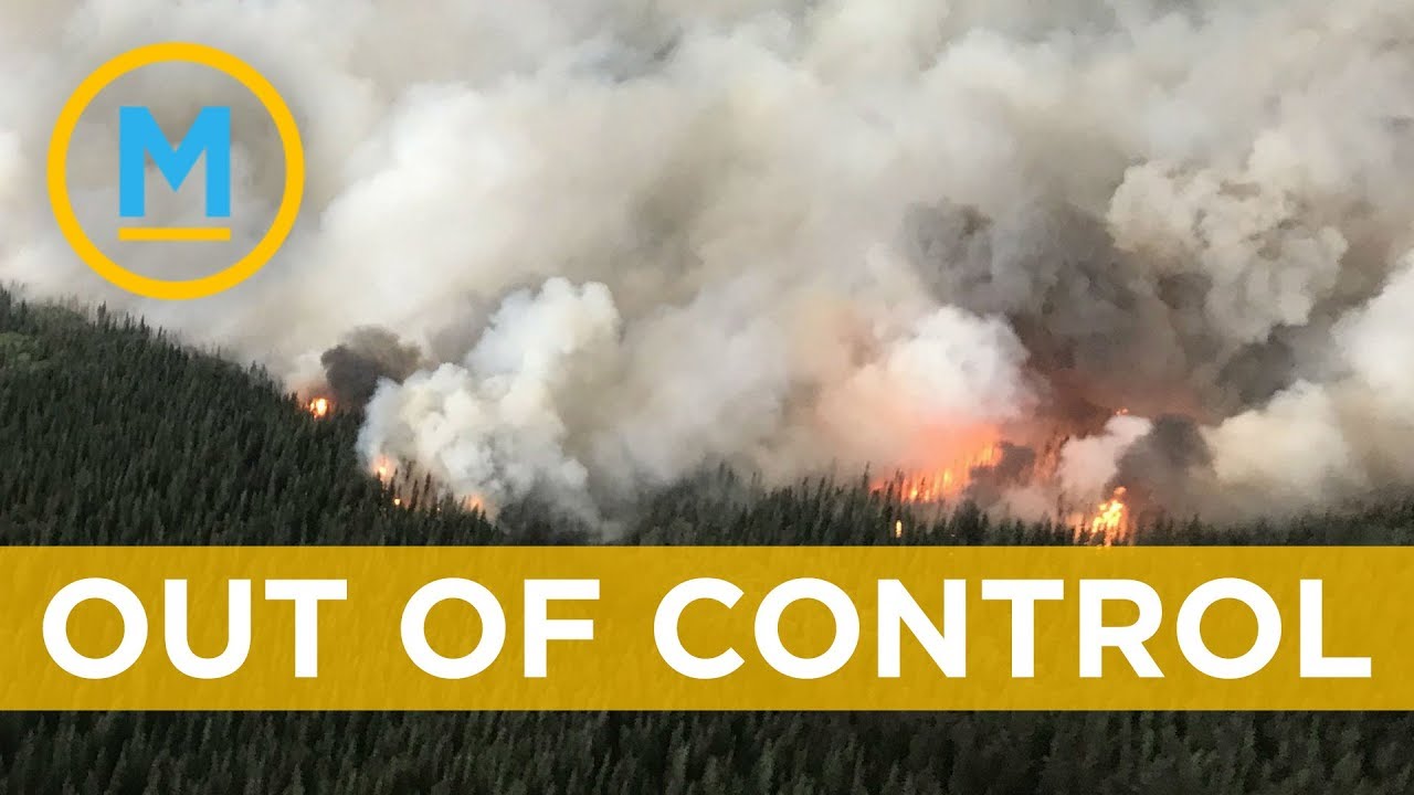 Close to 600 wildfires burning across BC | Your Morning