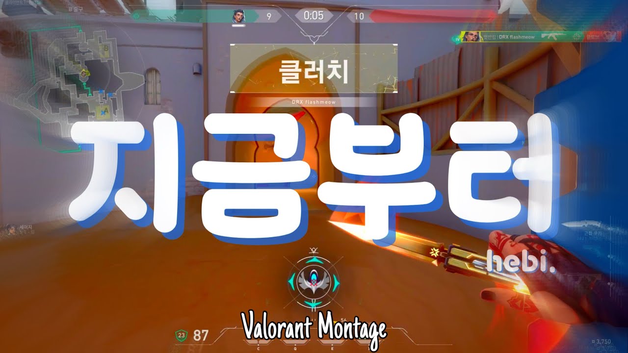 『헤비님을 위한』 발로란트 매드무비 | VALORANT MONTAGE