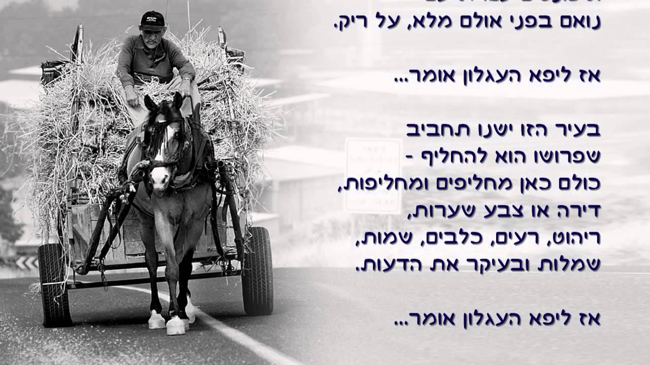 ליפא העגלון