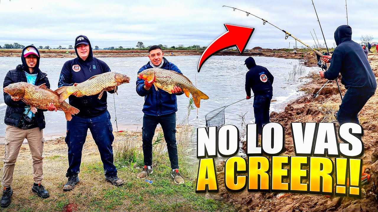 TREMENDA PESCA de CARPAS GIGANTES en el Río Salado, ¡ERA TIRAR Y SACAR! LUGAR GRATIS.