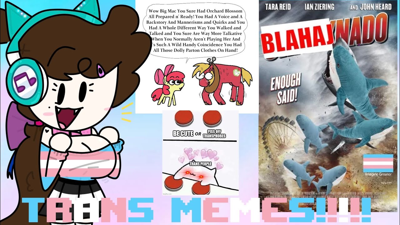 BLÅHAJ-NADO!!! | Transfem Reacts to Trans Memes!!