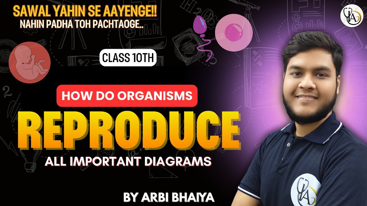 How Do Organisms Reproduce 🔥 | NCERT All Important Diagrams | Class 10th Science 
