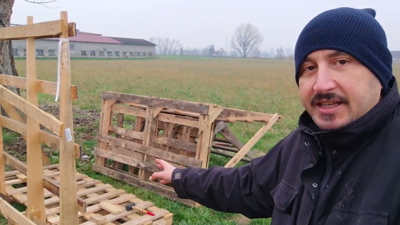 كيفاش تصيبو 🔨👷‍♂️براكة ديال 🐔 