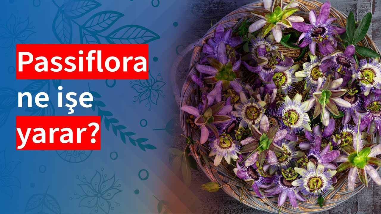 Passiflora ne işe yarar? | Medical Park