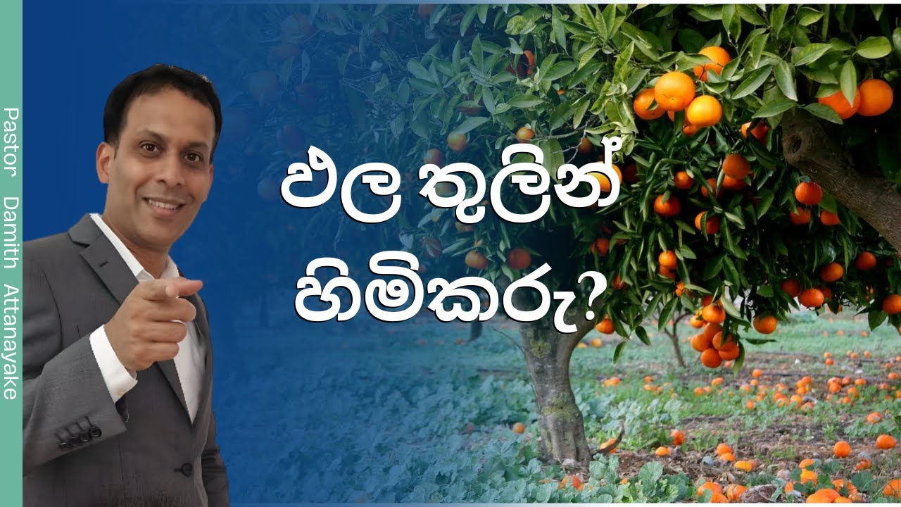 ඵල තුලින් හිමිකරු? | Owner through fruits? | Sinhala preaching/sermon 15/10/23
