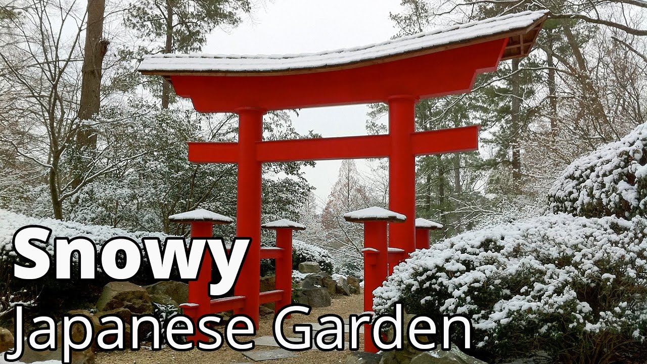 Snowy Japanese Garden! Tour Birmingham's Japanese Garden after a rare snowfall.