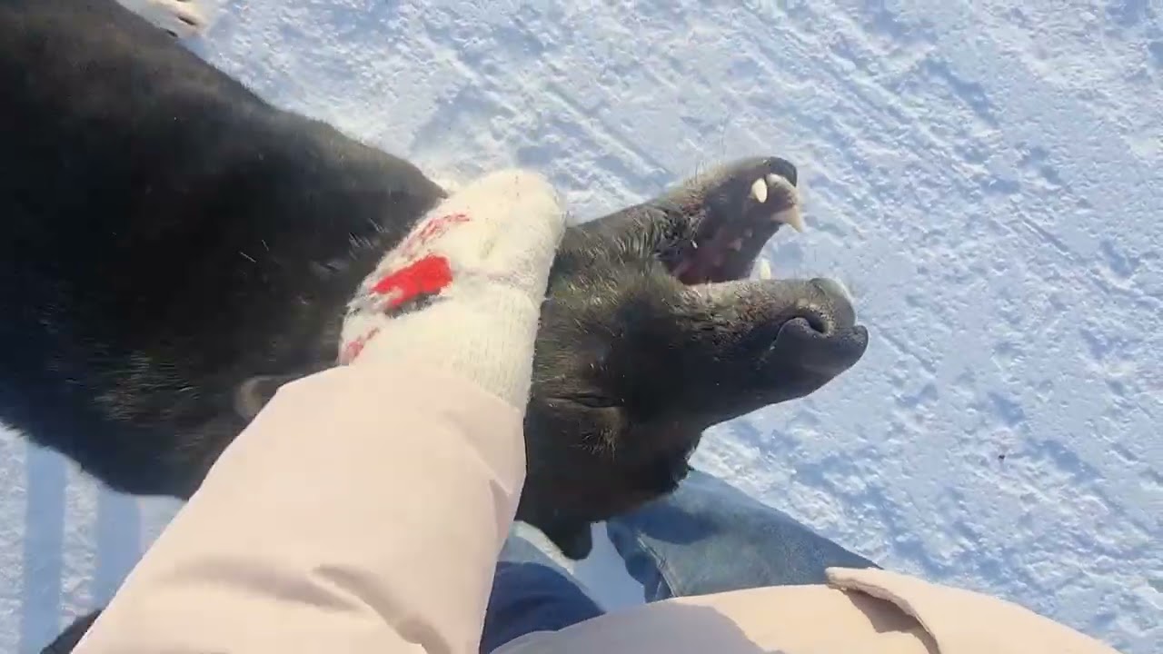 Гуляю по району и болтаю о питании, о погоде.