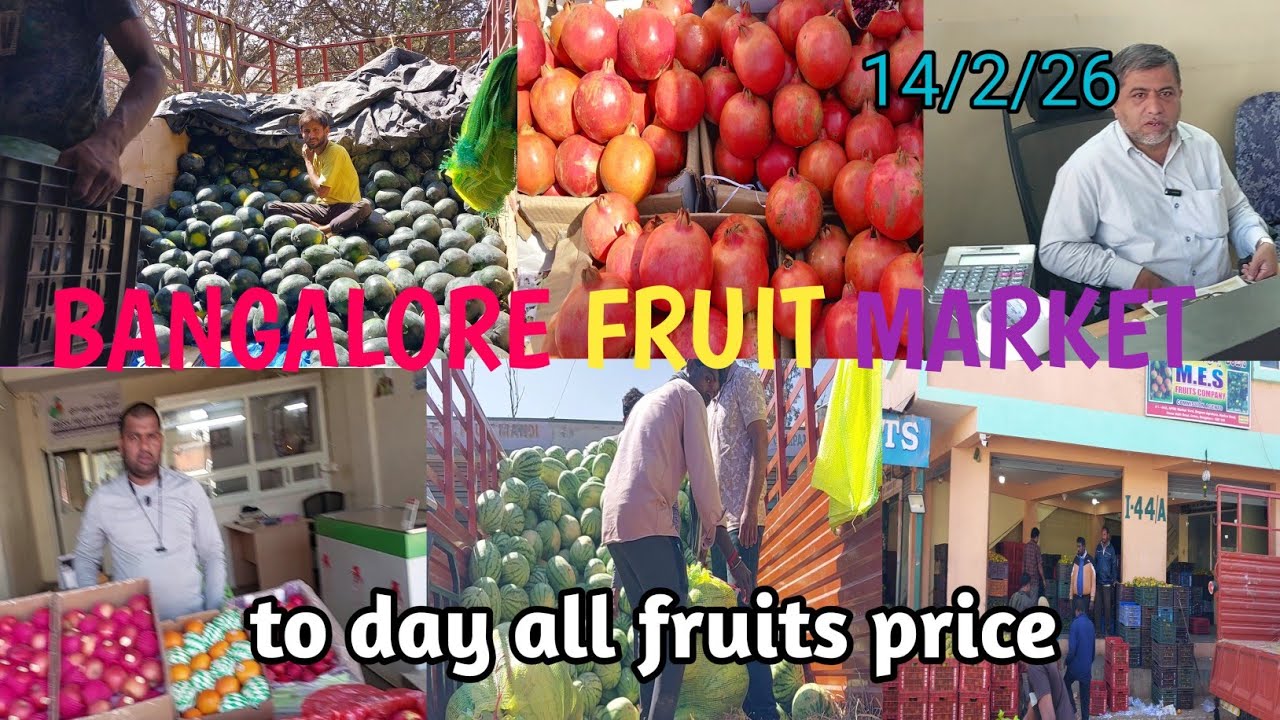 BANGALORE FRUIT MARKET  || aaj ka savi phal ka price  || TO DAY ALL FRUIT PRICE 