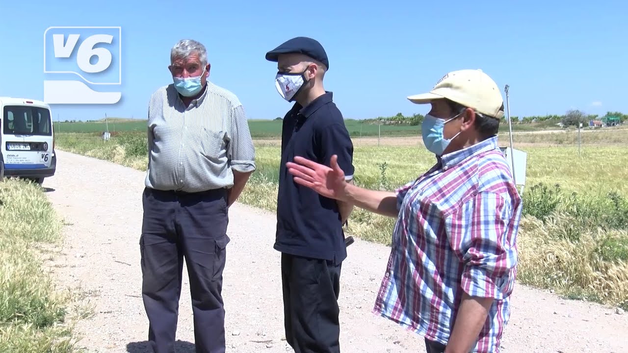 Ladrones de cobre dejan sin regar a agricultores de Mahora