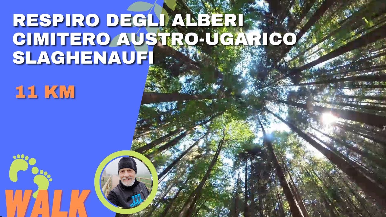 Lavarone, respiro degli alberi, cimitero Slaghenaufi, celestino castelletti, associazione maggiolina