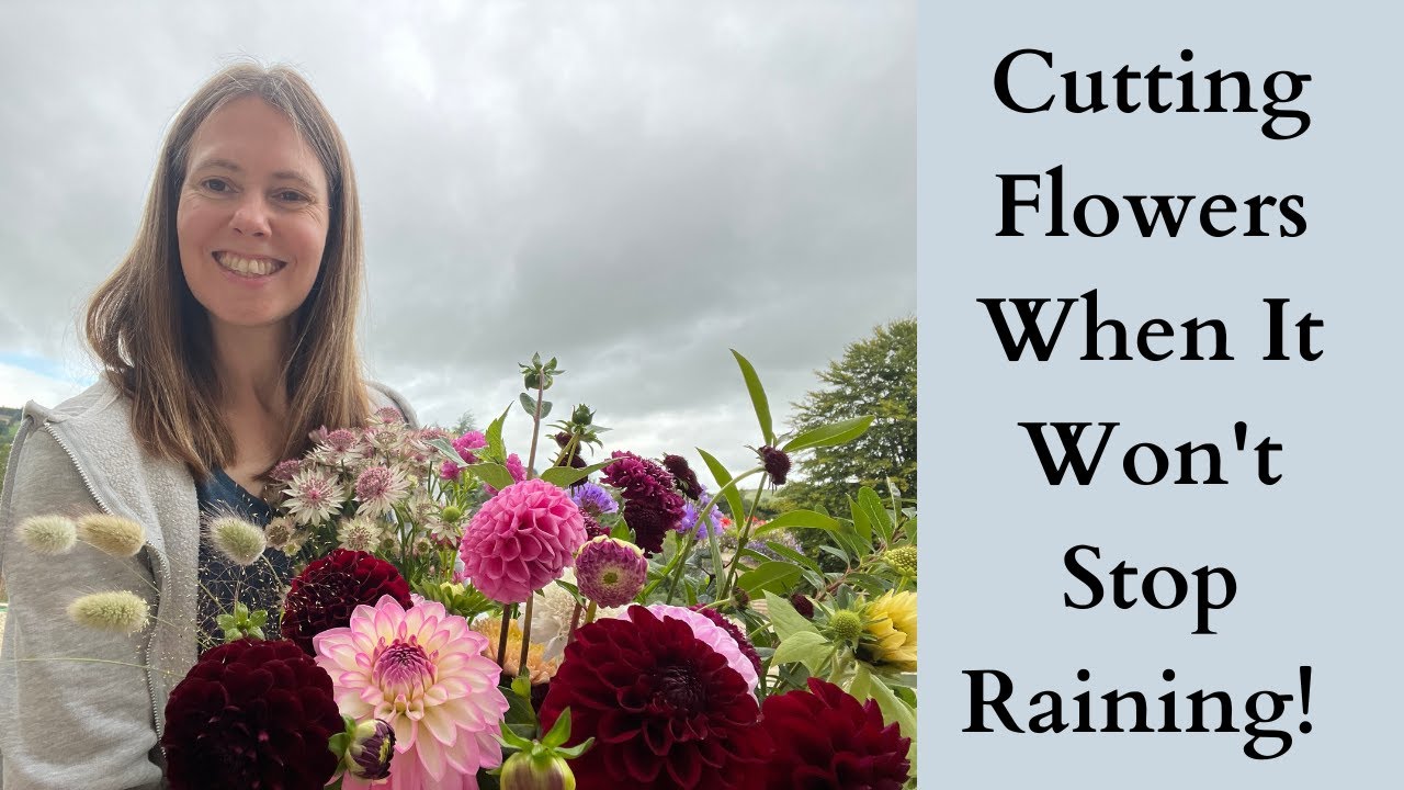 How To Cut Flowers In The Rain