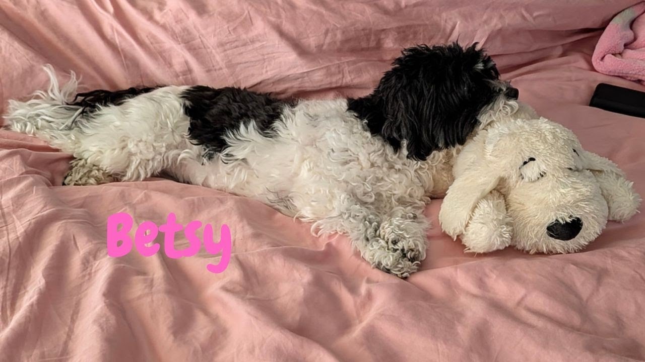 Taking over my spot!😂🥰