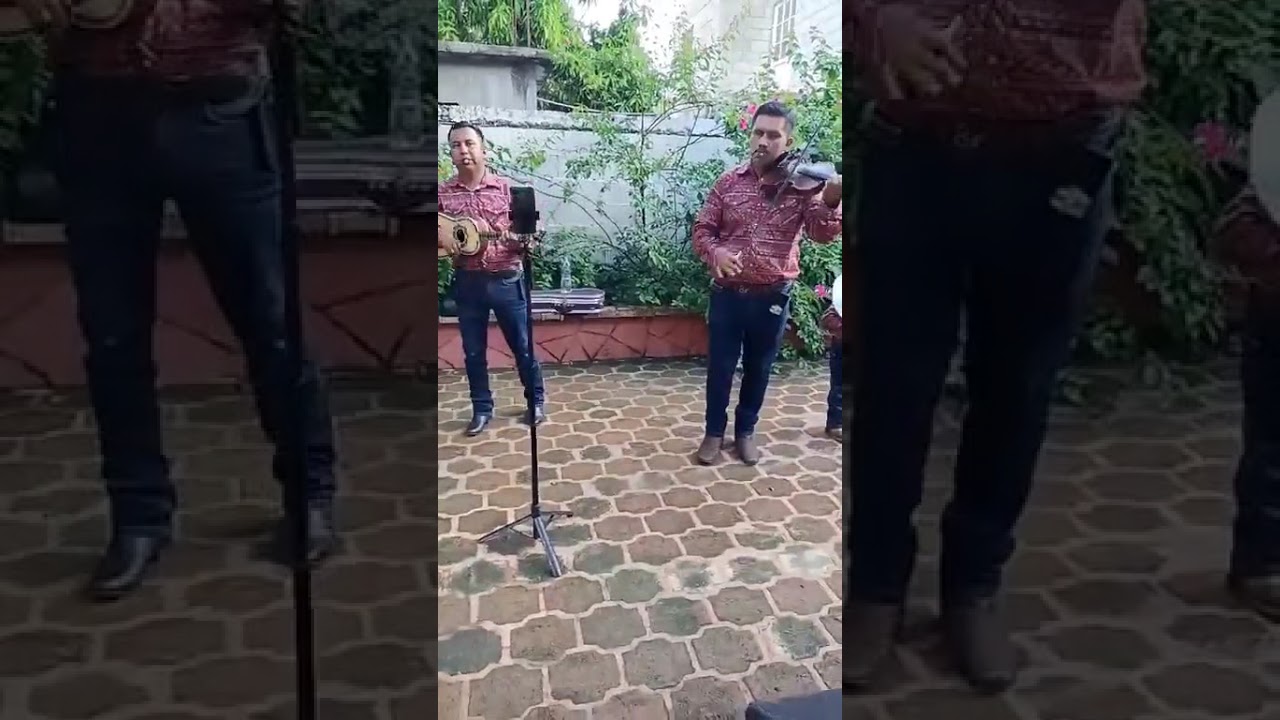 Gallitos del Bernal:el taconcito.....