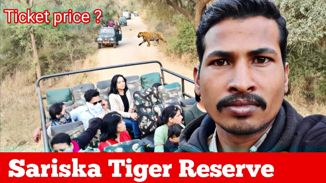 Sariska national park alwar rajasthan | Sariska tiger reserve | Sariska safari