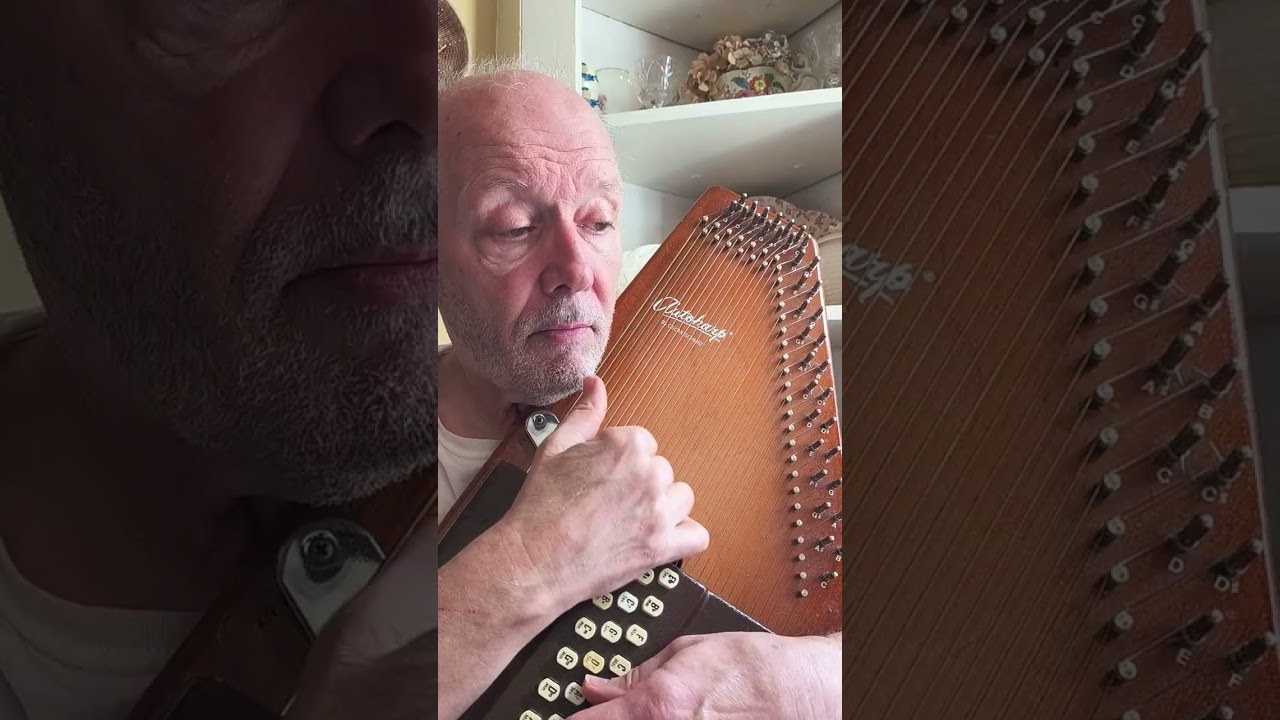Riders On The Storm (on autoharp)