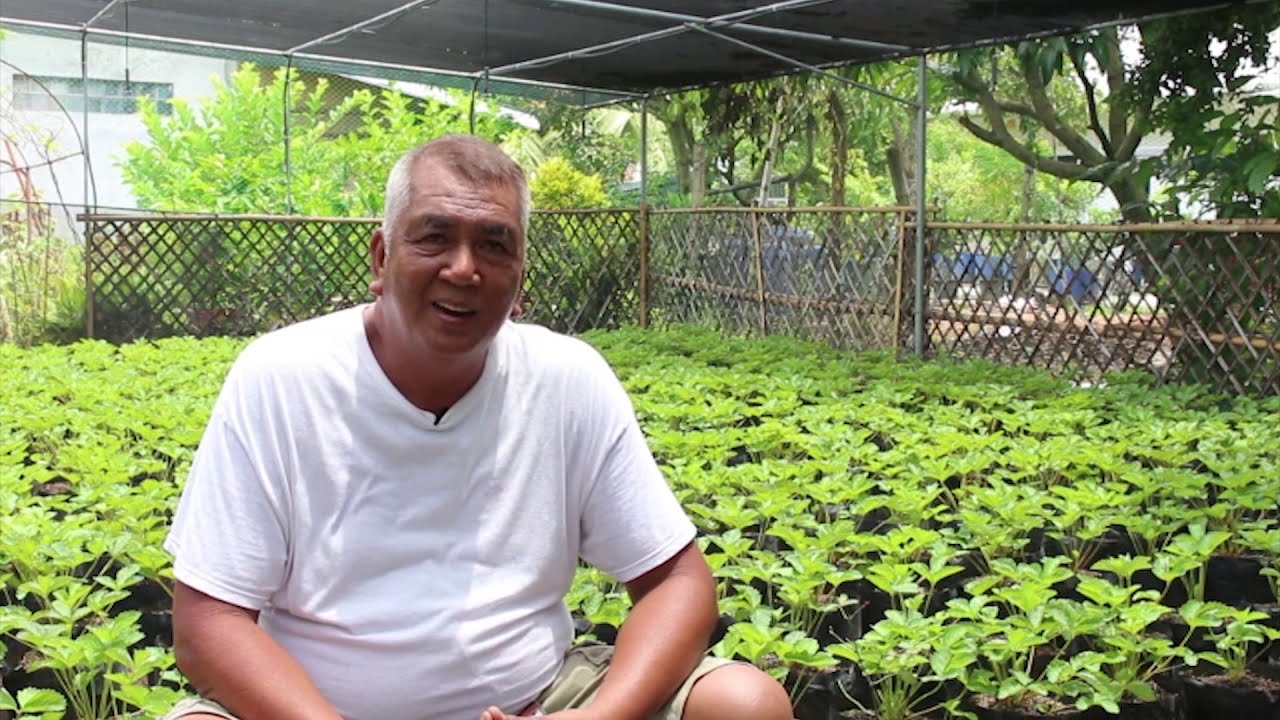 MANa: Strawberry Farm ng Central Luzon | Episode 6 Season 2