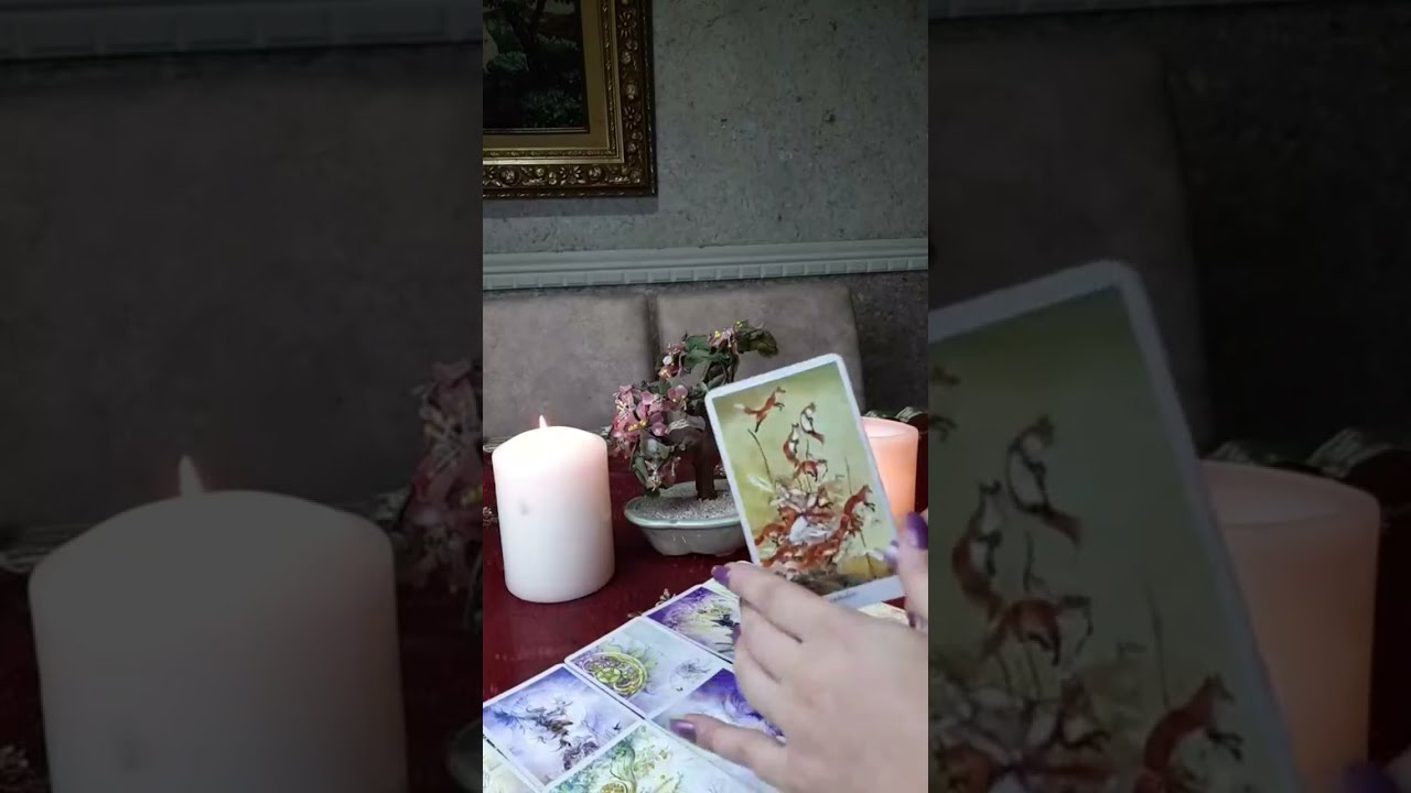 برج الأسد قراءة عاطفية 💞 مشاعر الشريك  نواياه و خطواته تجاهك