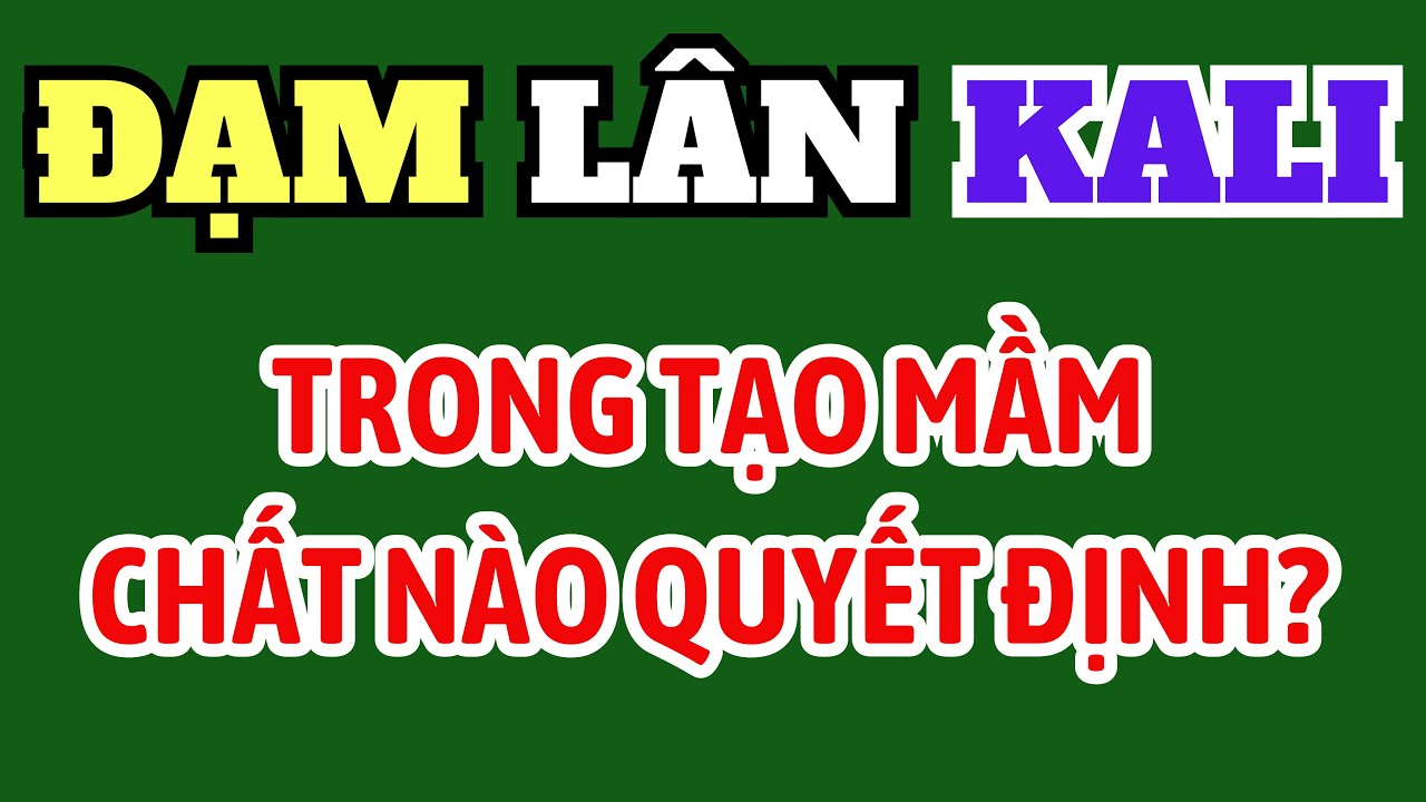 Các chất ĐẠM LÂN KALI tác động như thế nào đến giai đoạn tạo mầm? Chọn phân bón giai đoạn tạo mầm