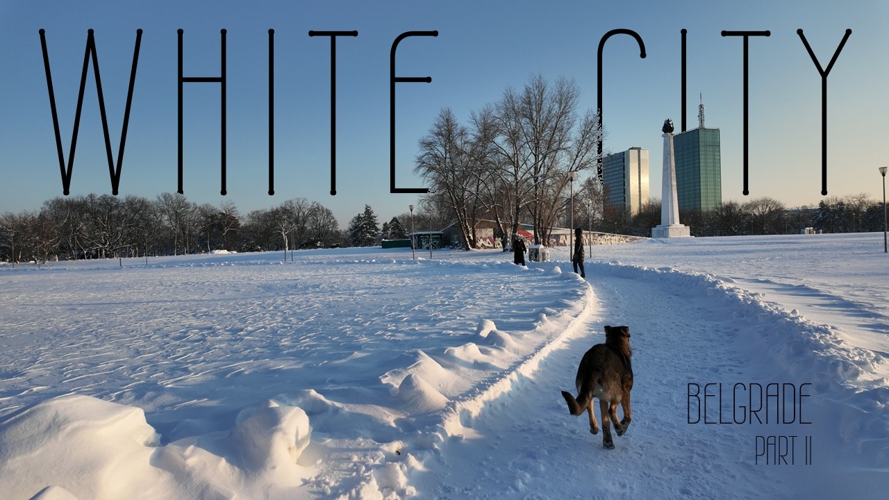 Biking at -8°C | 18°F Through Snowfall in Belgrade - Part II ❄️❄️