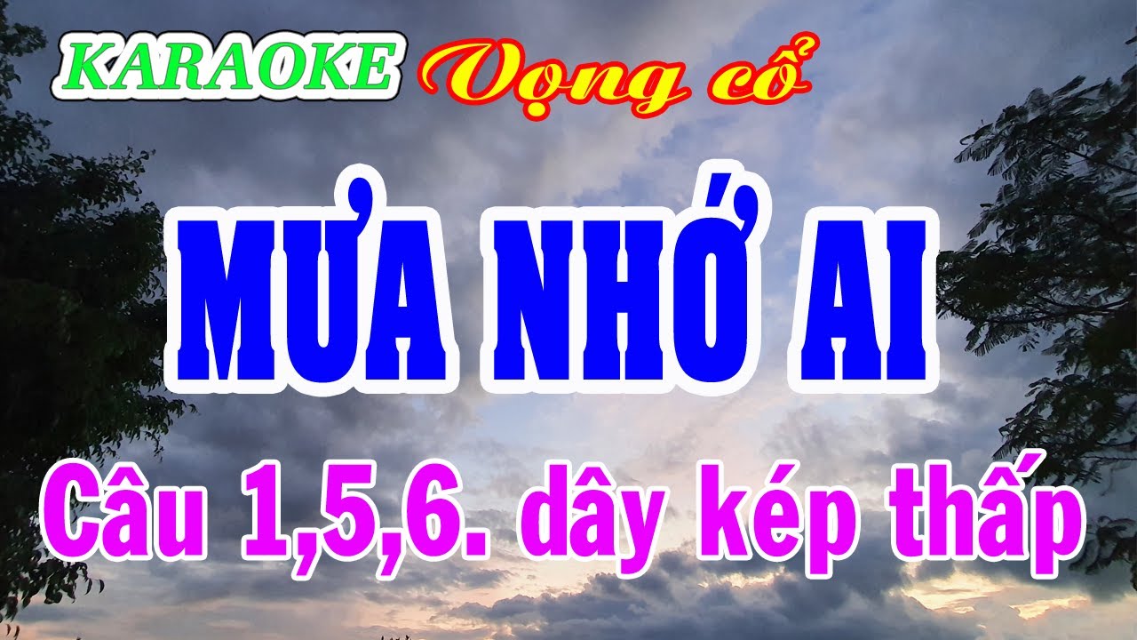 KARAOKE   MƯA NHỚ AI _ Lý con sáo _ VC 1,5,6. Dây kép thấp