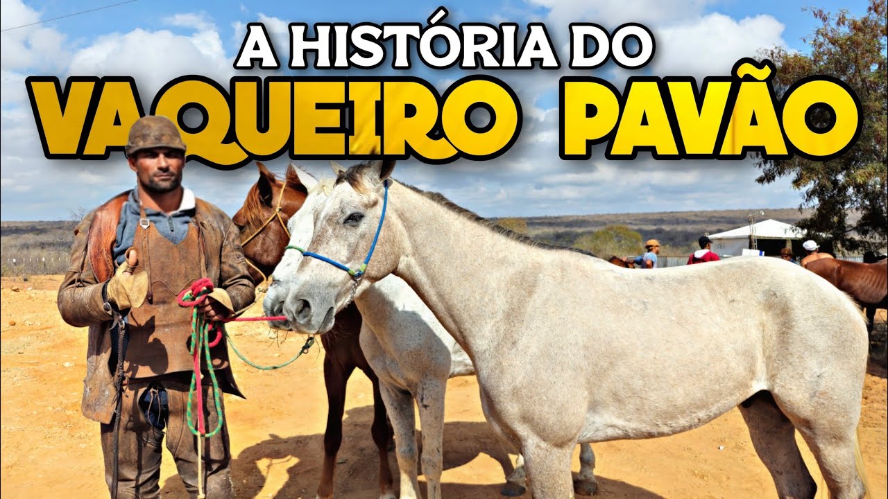 VAQUEIRO PAVÃO: A LENDA DE SERGIPE