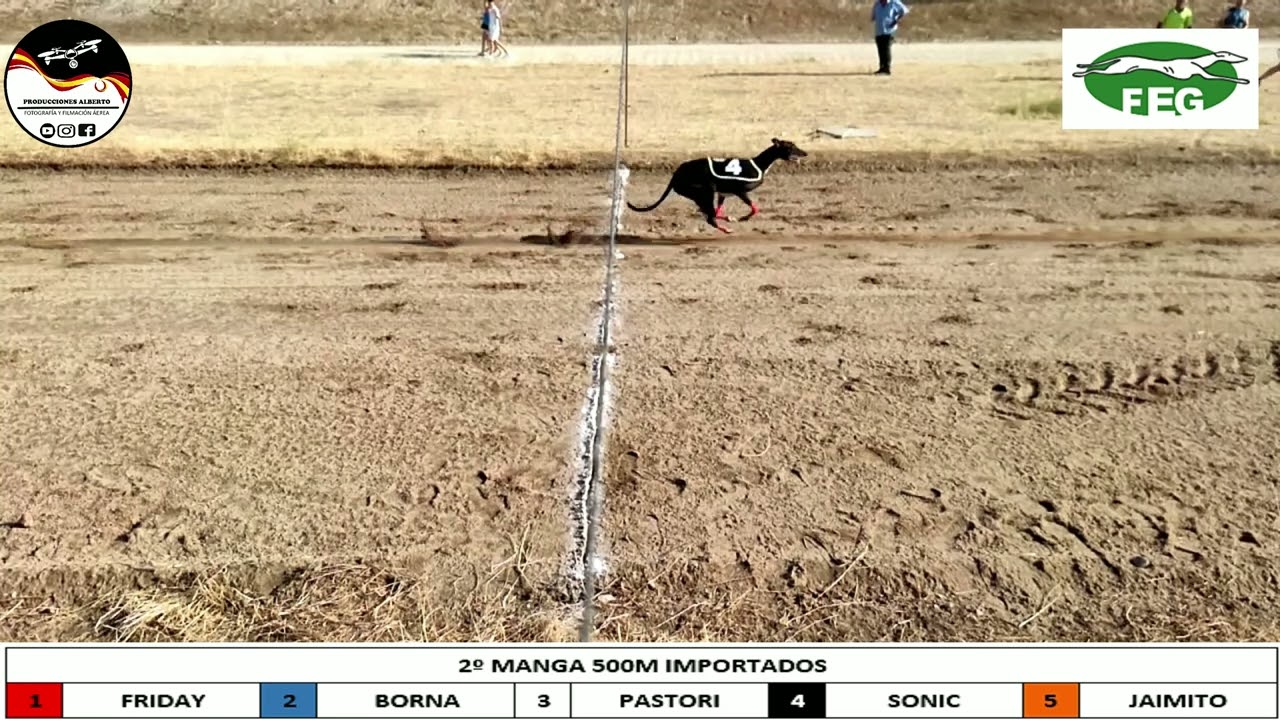 CAMPEONATO DE RECTA EN EXTREMADURA, 500M NACIONALES Y 500 METROS IMPORTADOS  9º CARRERA DE LIGA EN Q