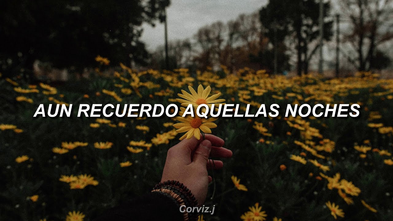 Internacional Mallanep - Tendría Que Llorar (Letra)