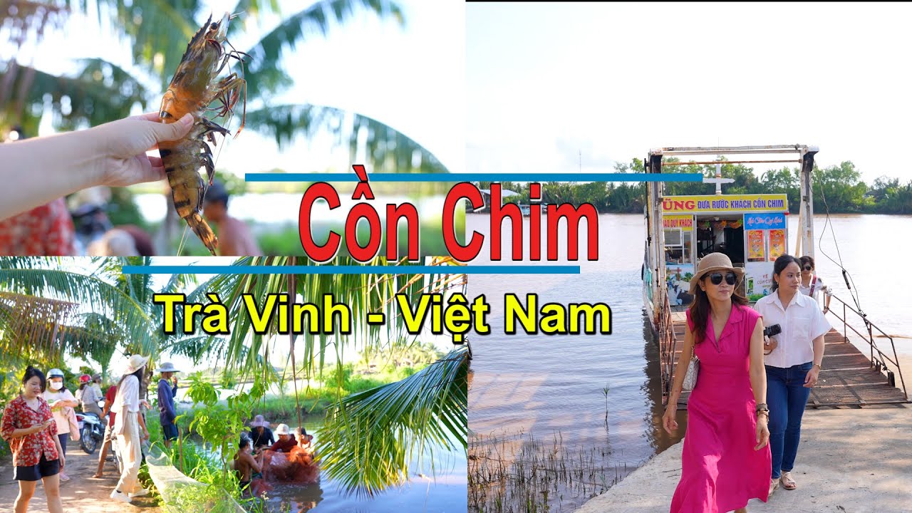 DU LỊCH CỒN CHIM TRÀ VINH