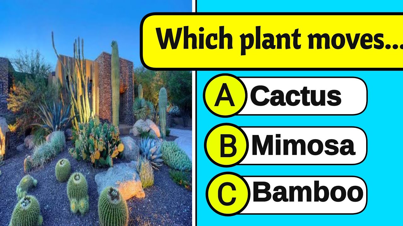 🌱 Ultimate Plant Quiz | General Knowledge About Plants | Fun Science Trivia 🌿
