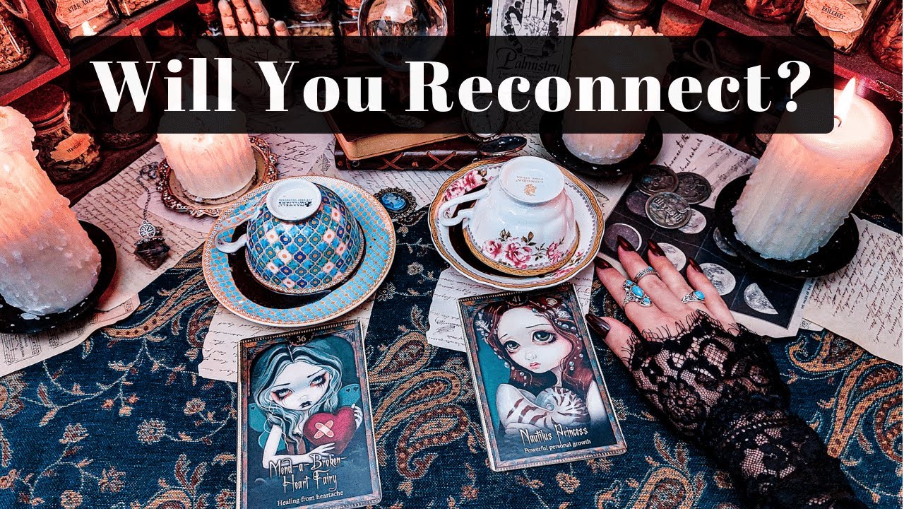 NO CONTACT: Will You Reconnect? Coffee & Tarot Pick a Card Reading