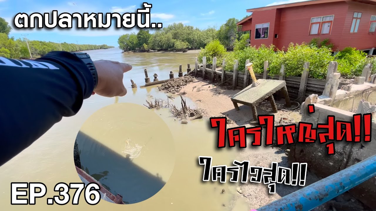 🎣🐠We are Angler EP.376 “กินก่อนไม่การันตีใหญ่! ตกปลาบางขุนเทียนวัดกันเห็นๆ“ |ตกปลาทะเล