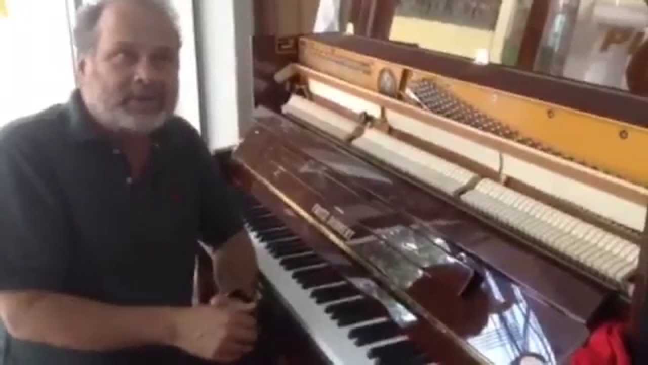 Marcos Ariel comenta sobre o piano FD-126 da Fritz Dobbert