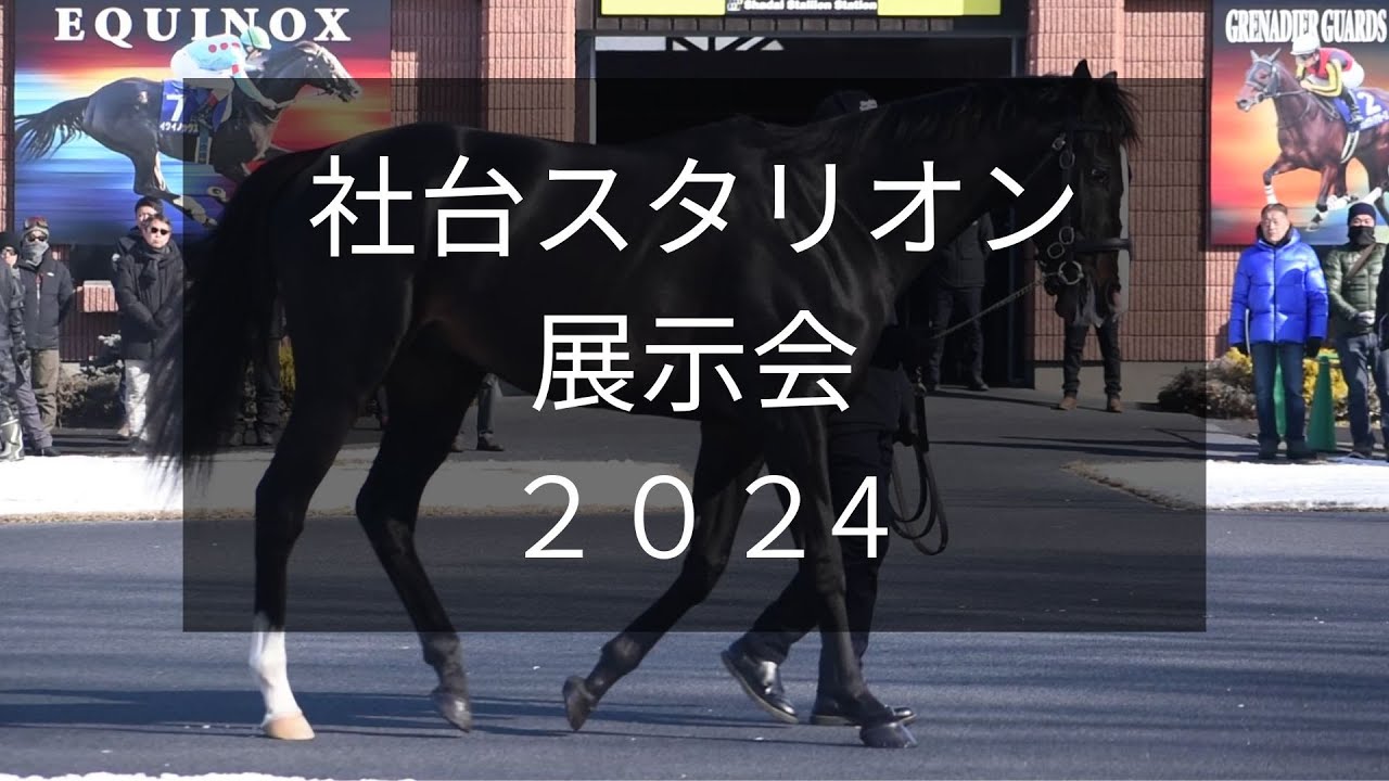 【社台スタリオン展示会2024】世界No.1のイクイノックスなど29頭が登場！