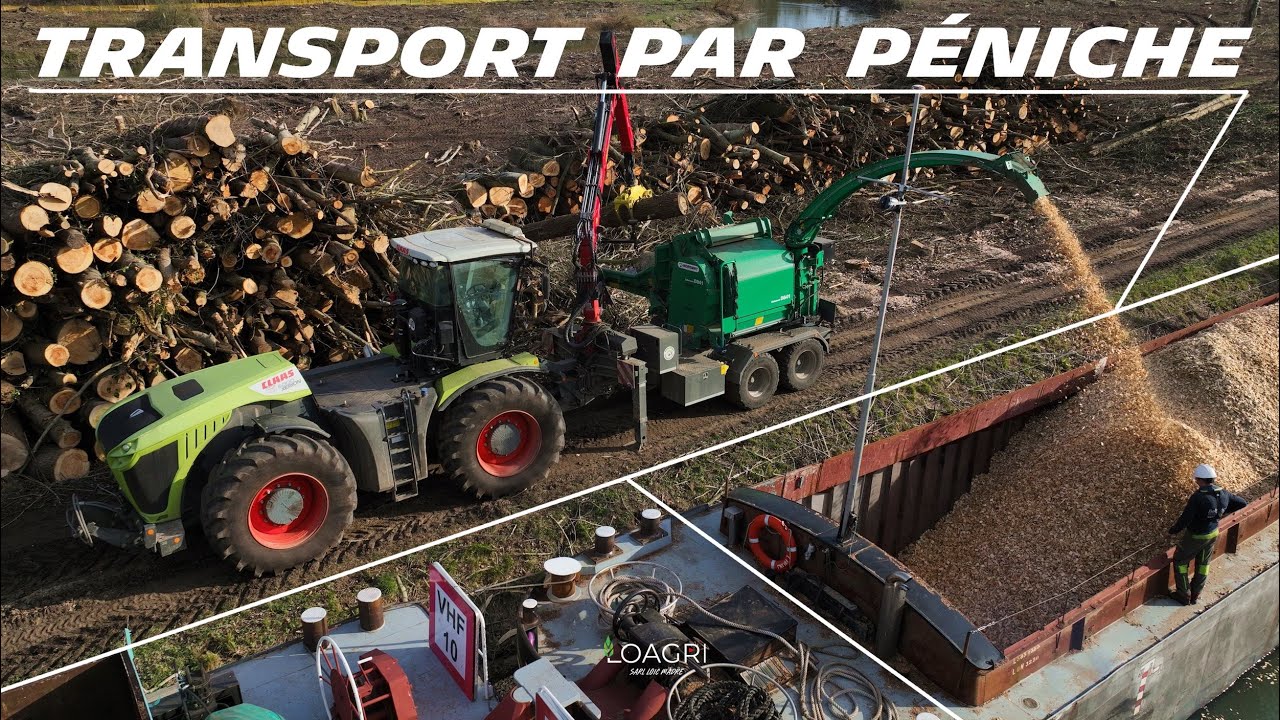 😱🛳INSOLITE broyage de BOIS dans une PÉNICHE !🌲