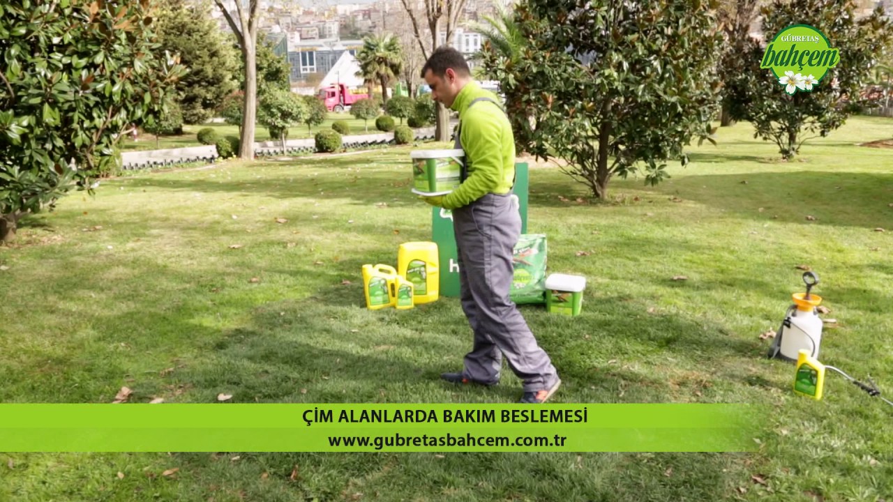 Çim Alanlarda Genel Bakım ve Gübreleme