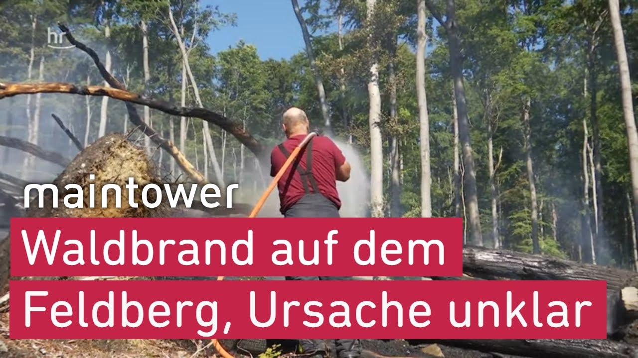 Trockenheit oder Brandstiftung? | maintower