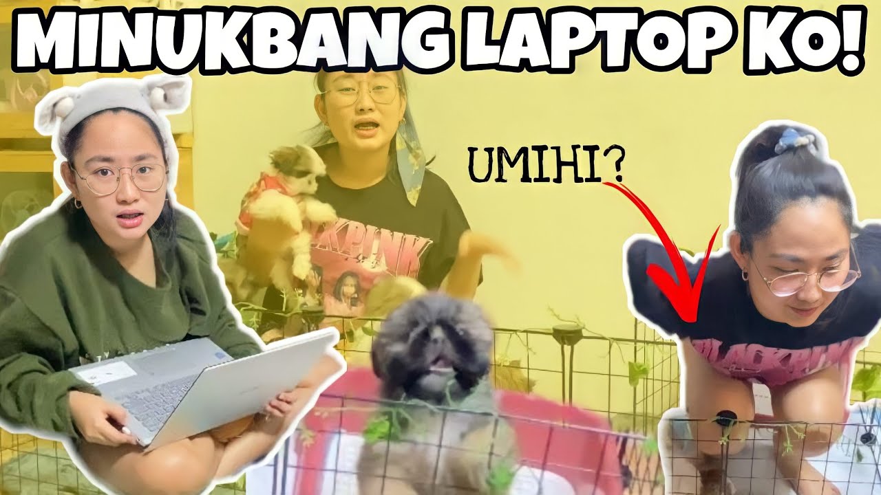 24 HOURS CHALLENGE in PLAYPEN kasama ang mga baby pango. (minukbang nila laptop ko) || Shang Ragasa