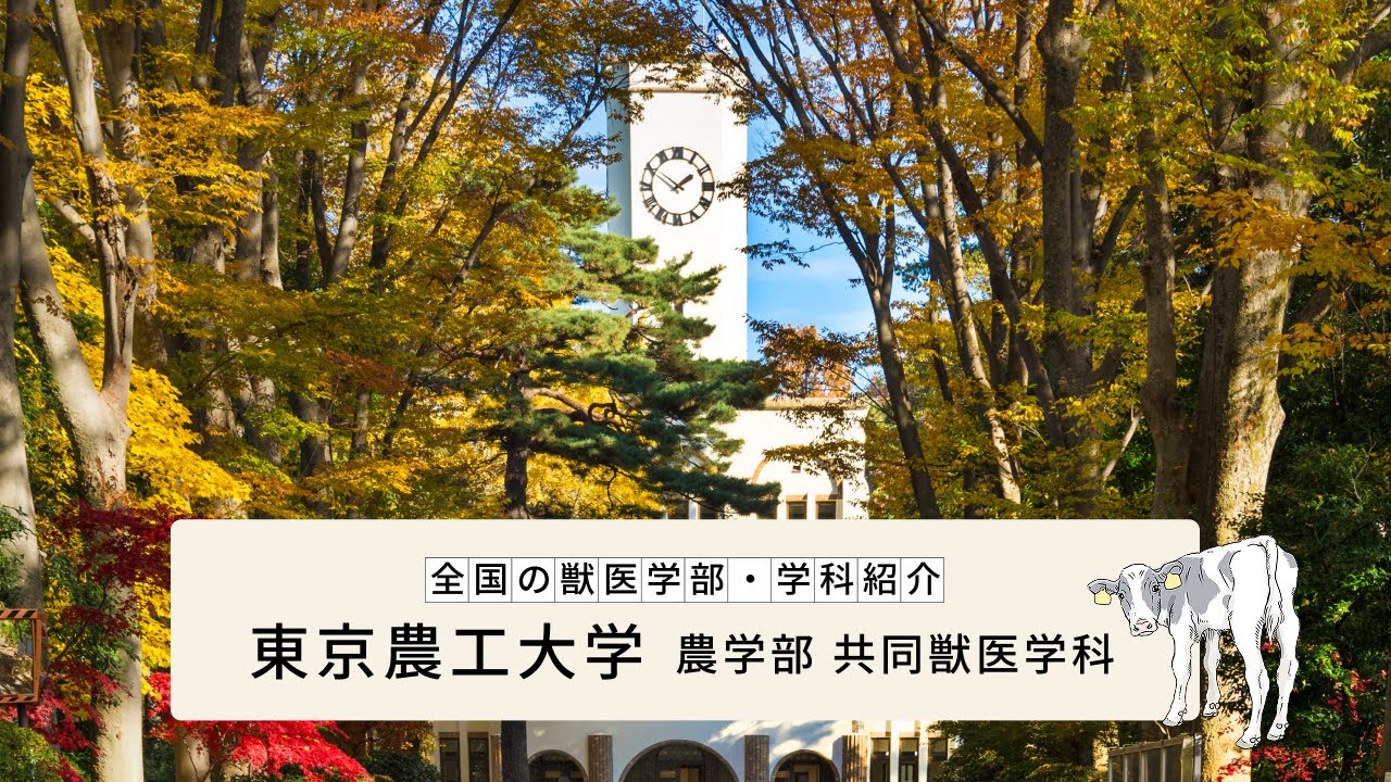 【全国の獣医学部・学科紹介】東京農工大学 農学部 共同獣医学科