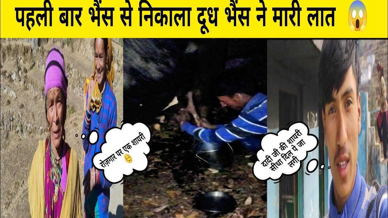 पहली बार भैंस से दूध निकालने पर भैंस ने मारी जबरदस्त लात 