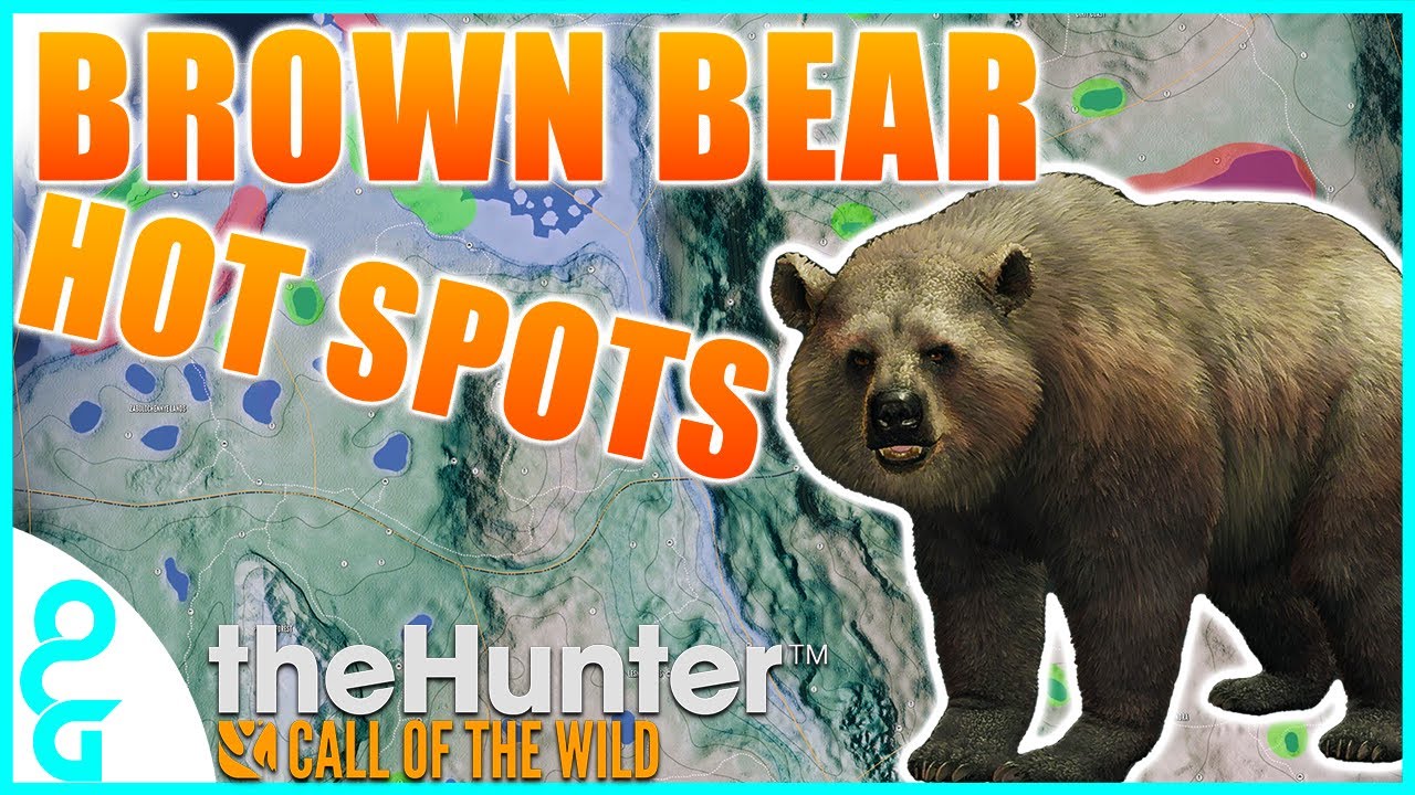 BROWN BEAR HOT SPOTS! | theHunter Call of the Wild