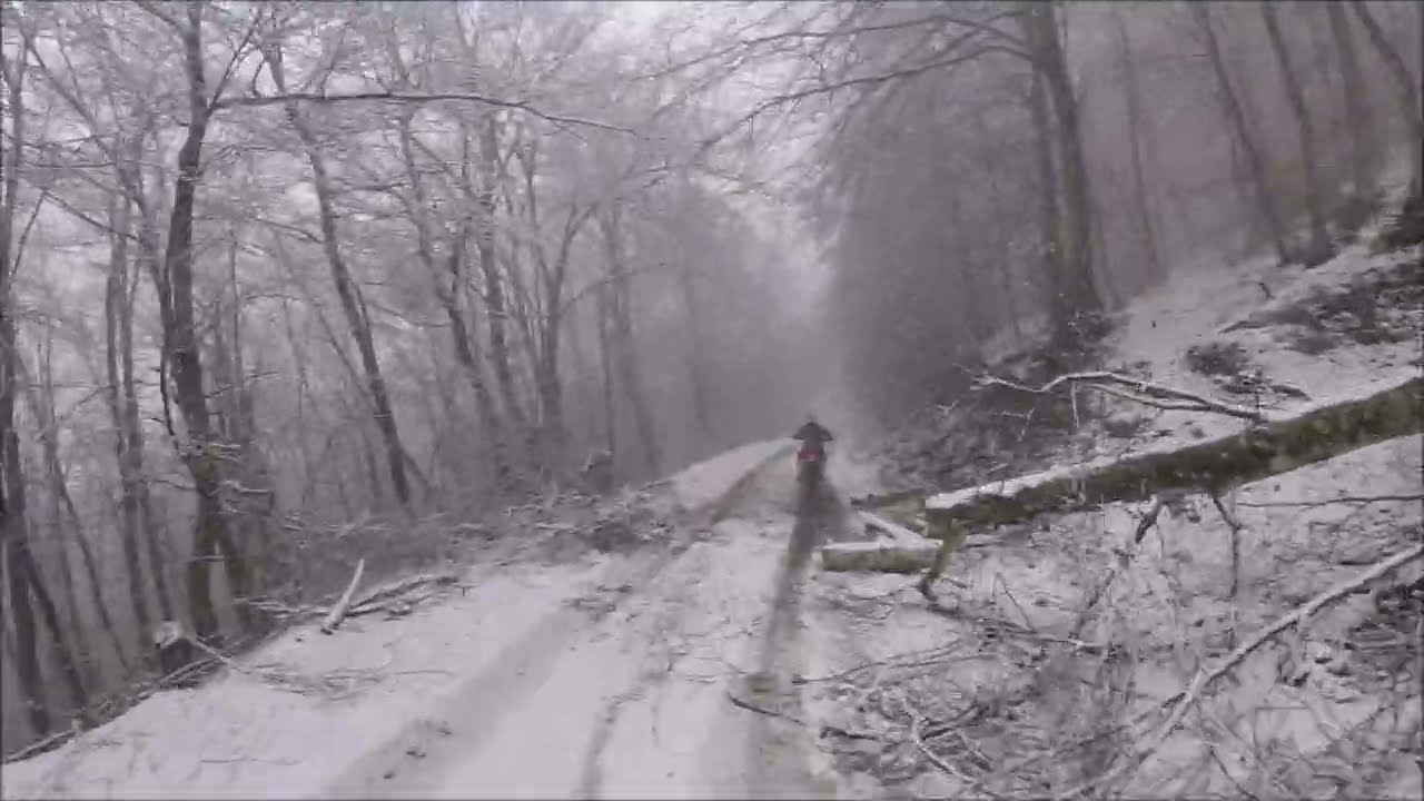25 01 2026 USCITA TRIBOLATA TRA PIANTE CADUTE E NEVE