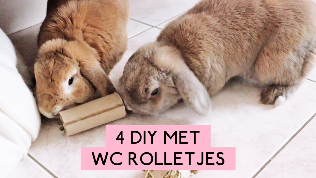 4 DIY met wc rolletjes | De konijnenknuffelaar