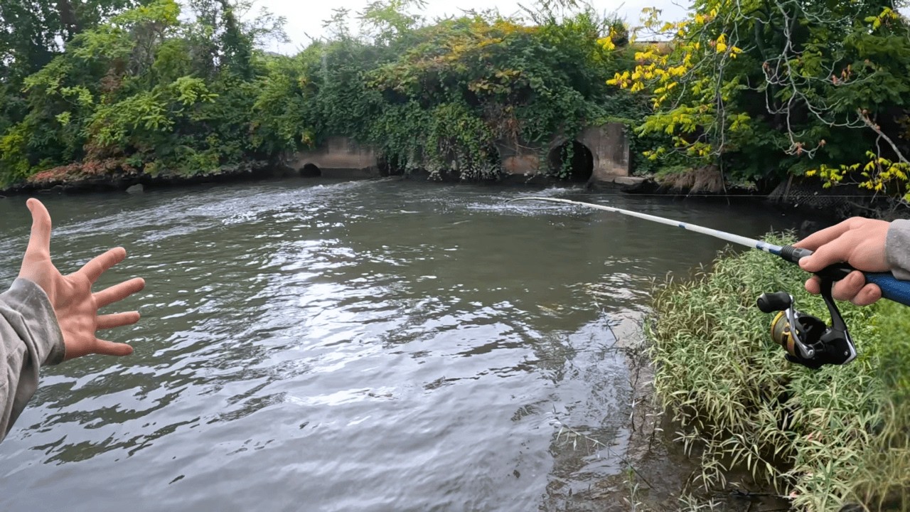 These Sewage Drains Were OVERFLOWING With Fish!!!