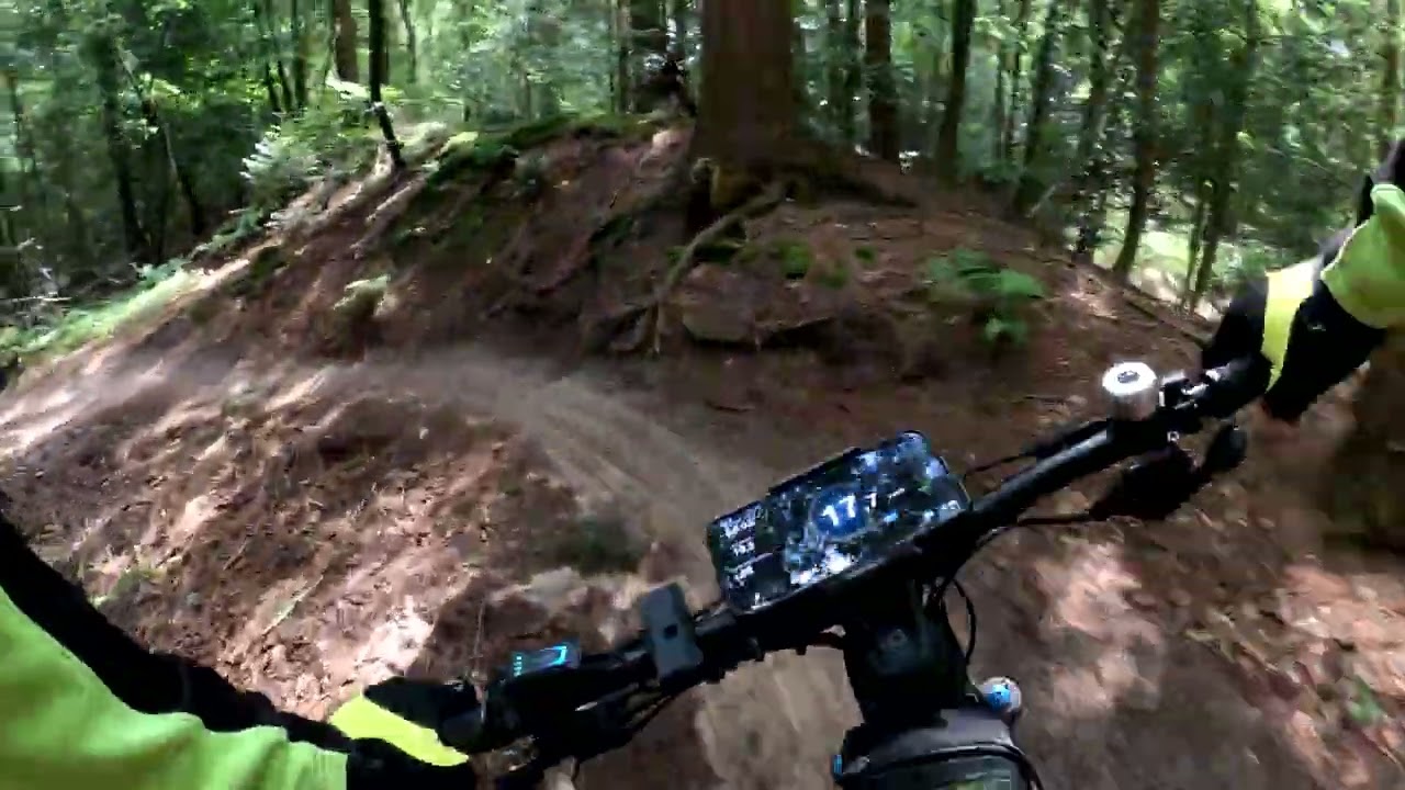 MTB route Appelscha (Bosberg) 4,3 km rood (4K)