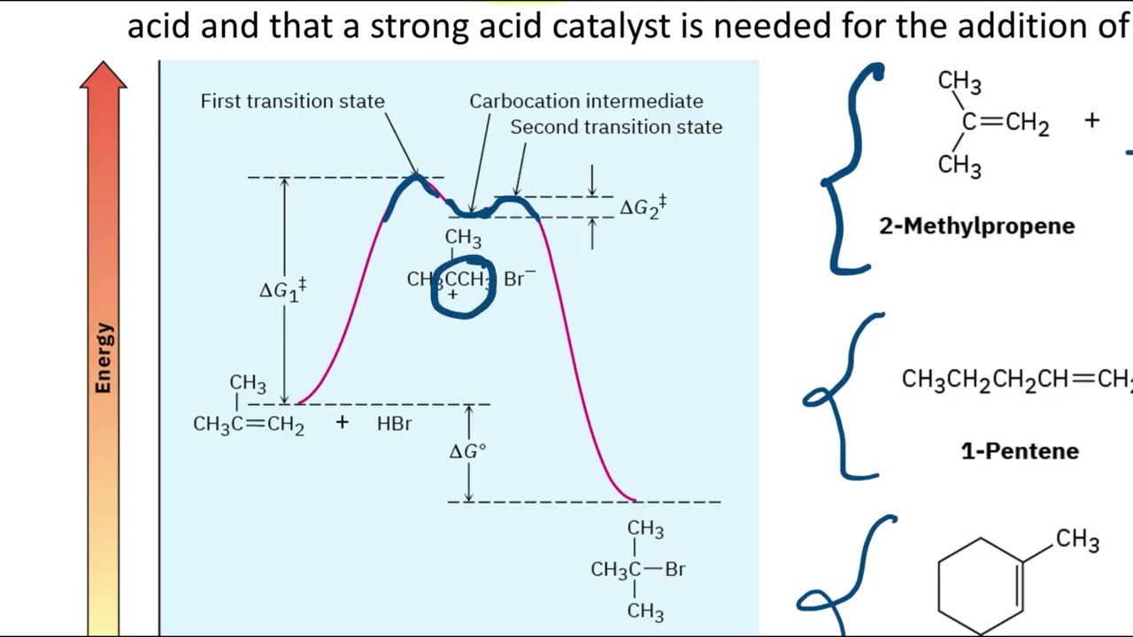 Electrophilic Addition Reactions and Markovnikov’s Rule