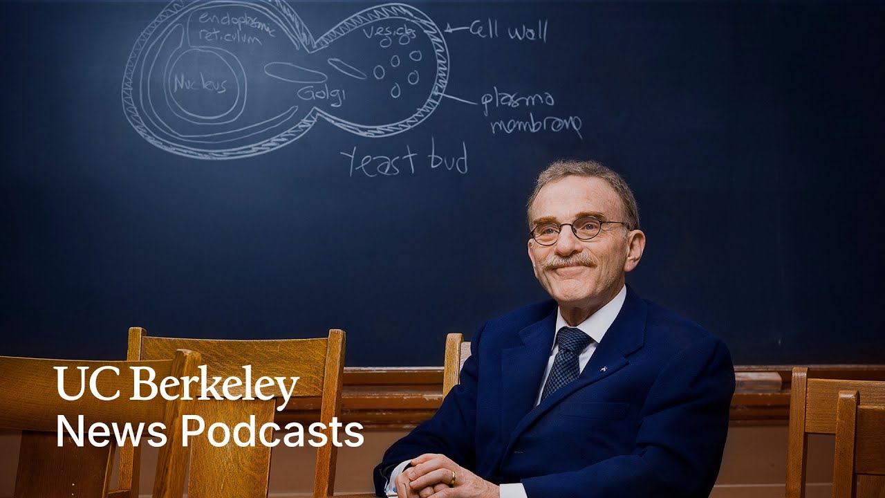 For Nobel laureate Randy Schekman, it began with pond scum and a toy microscope